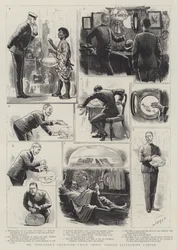 Mr. Goslynges Goldfische, ihre kurze glitzernde Karriere